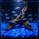 thumbnail image 1 of Guijarros luminosos para acuario que brillan en la oscuridad: piedras luminiscentes para paisajismo acuático, decoración de peceras, relleno de jarrones y jardinería. Grava luminosa de plást, 1 of 6
