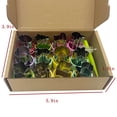 thumbnail image 2 of 15PCS Vegetable Fruit Cartoon Cutting Mold DIY Pastry Small Tools Stainless Steel Flower Cutter, 2 of 7
