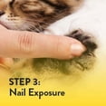 Kitty Caps Declawing Nail Caps for Cats, Large (13 lbs or greater