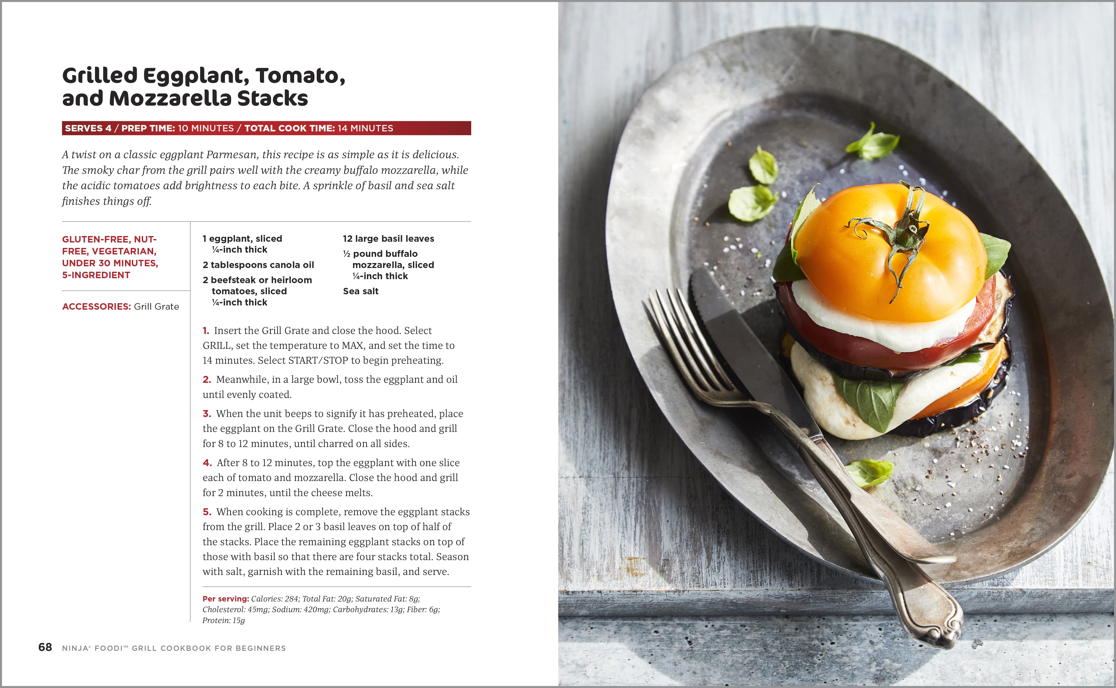 The Basic Ninja Foodi Smart XL Grill Cookbook: Traditional, Modern