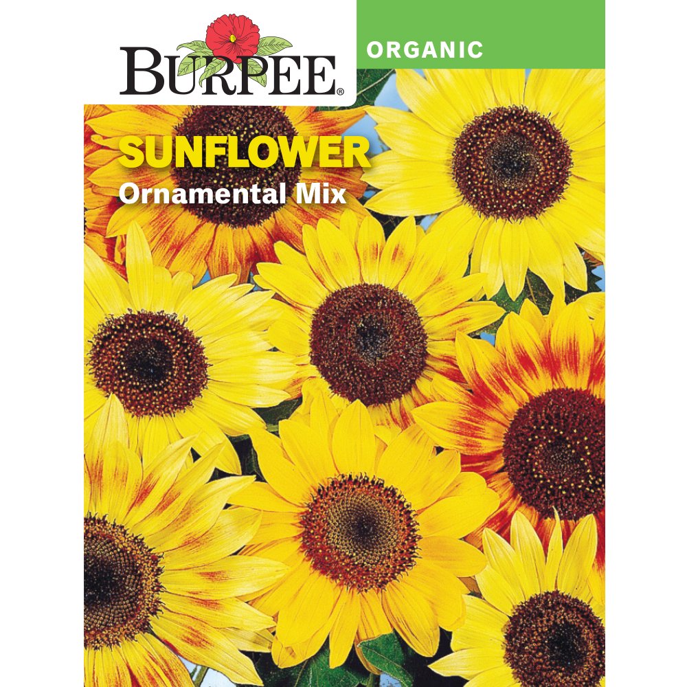 Burpee Organic Ornamental Mix Sunflower Flower Seed, 1pack Walmart