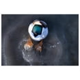 thumbnail image 4 of Avian-X Power Butt Kicker Drake Mallard Motion Duck Ultra Realistic Floating Decoy, 4 of 5