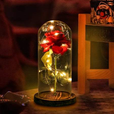 Beauty and The Beast Rose Decor Light, Enchanted Red Rose Glass Dome LED Fairy String Lights Gift for Her Lover Valentines' Day Mothers' Day