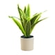 thumbnail image 1 of Decoración del hogar plantas en macetas-plantas verdes artificiales, 1 of 5