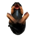 thumbnail image 5 of Ebros Black & Tan Sausage Wiener Dachshund Dog Wine Bottle Holder Figurine 11"L, 5 of 9