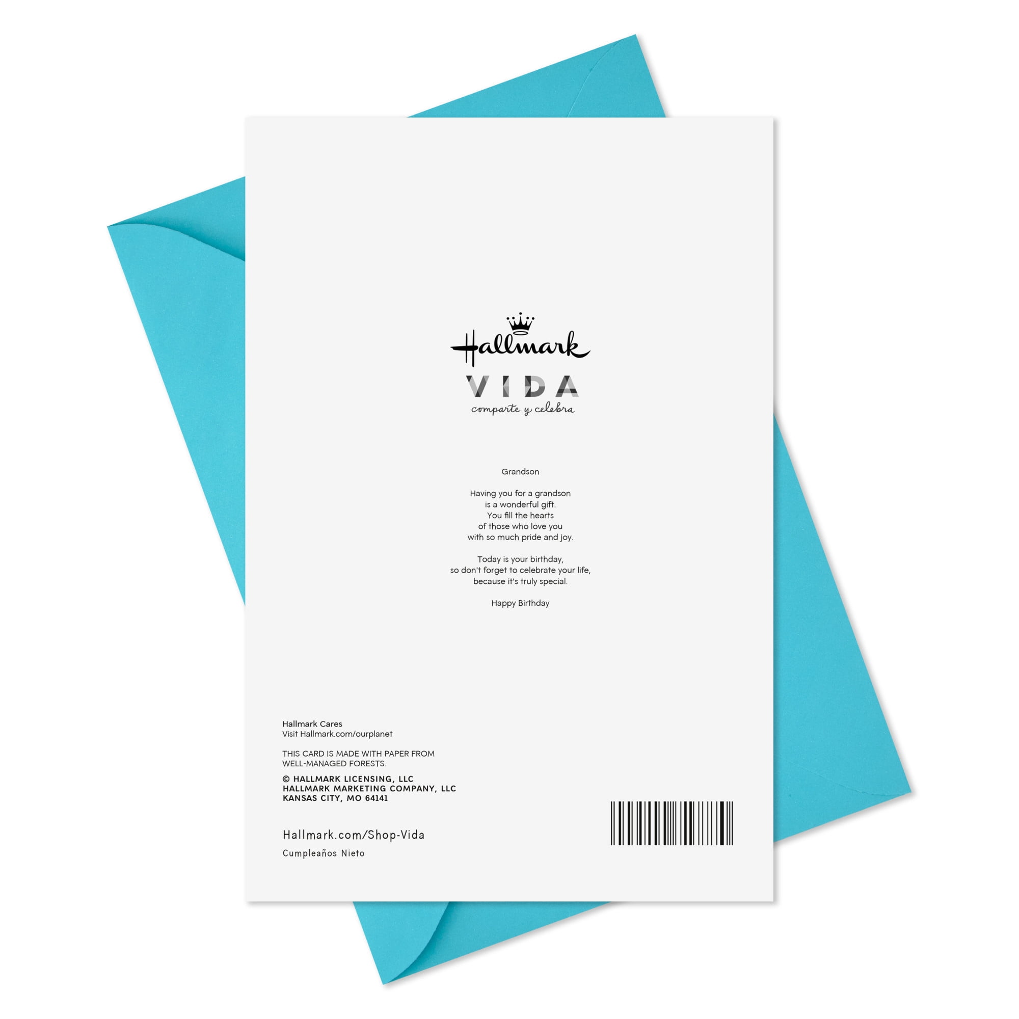 Hallmark VIDA Spanish-Language Birthday Card for Grandson (You Are A Gift)