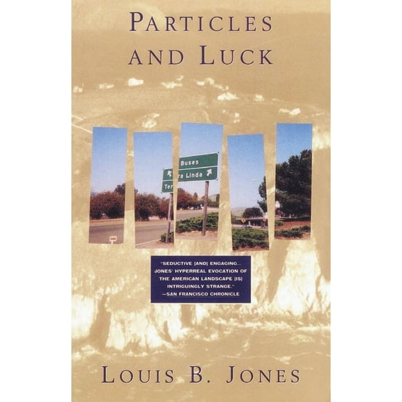 Vintage Contemporaries: Particles and Luck (Paperback)