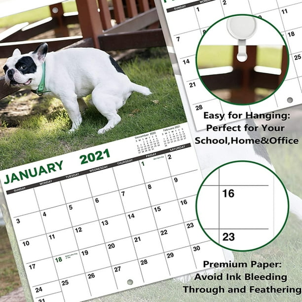 Calendrier 2024, 12 mois caca chiens calendrier 2024, chien caca