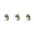 thumbnail image 2 of Moyic Mini plantas suculentas artificiales, simulación de bonsái, flor falsa en maceta para fiesta en casa, suministros de de oficina Type1 NO1, 2 of 6