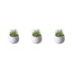 thumbnail image 4 of Billuyoard Plantas suculentas artificiales Simulación Bonsai Fake Flower Potted Party Type1 NO1, 4 of 6