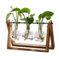 thumbnail image 1 of Terrario para plantas XXXFLOWER con soporte de madera y jarrón de 3 bulbos, 1 of 6