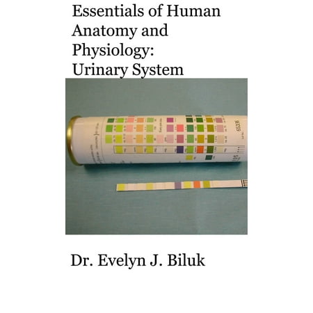 Essentials of Human Anatomy and Physiology: Urinary System - eBook