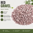 thumbnail image 4 of 12 LBS Natural Gravel for Fish Tank, StoneCreek Betta Fish Aquarium Gravel, Vase Filler, River Rocks, Fish Tank Decorations, Perfect for Aquarium Decor, Fish Tank, & Indoor Plant, Red, 4 of 6