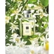 thumbnail image 2 of Perfume Jo Malone Orange Blossom Cologne 100 ml para mujer, 2 of 2