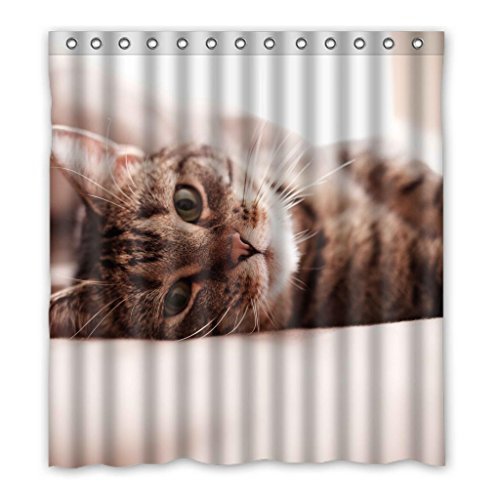 HelloDecor Cats Shower Curtain Polyester Fabric Bathroom Decorative