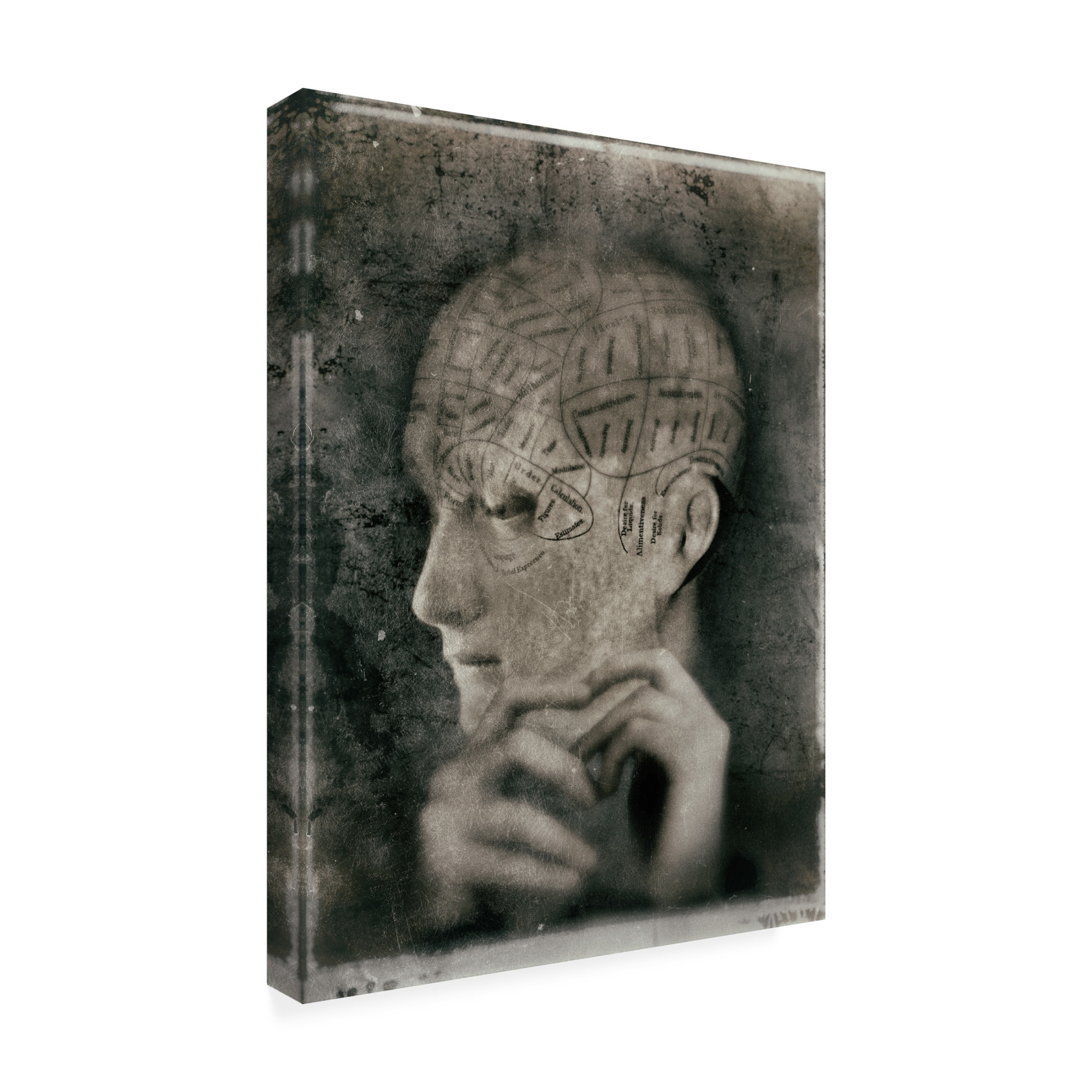 Canvas Wall Art - Jeffrey Hummel 'Dans L Intimate' Wall Art for Living Room, Bedroom, or Office Décor by Trademark Fine Art - 18 x 24 Inches