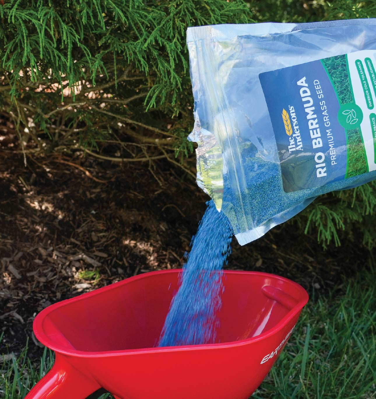 The Andersons Rio Bermuda Premium Grass Seed - 2lbs