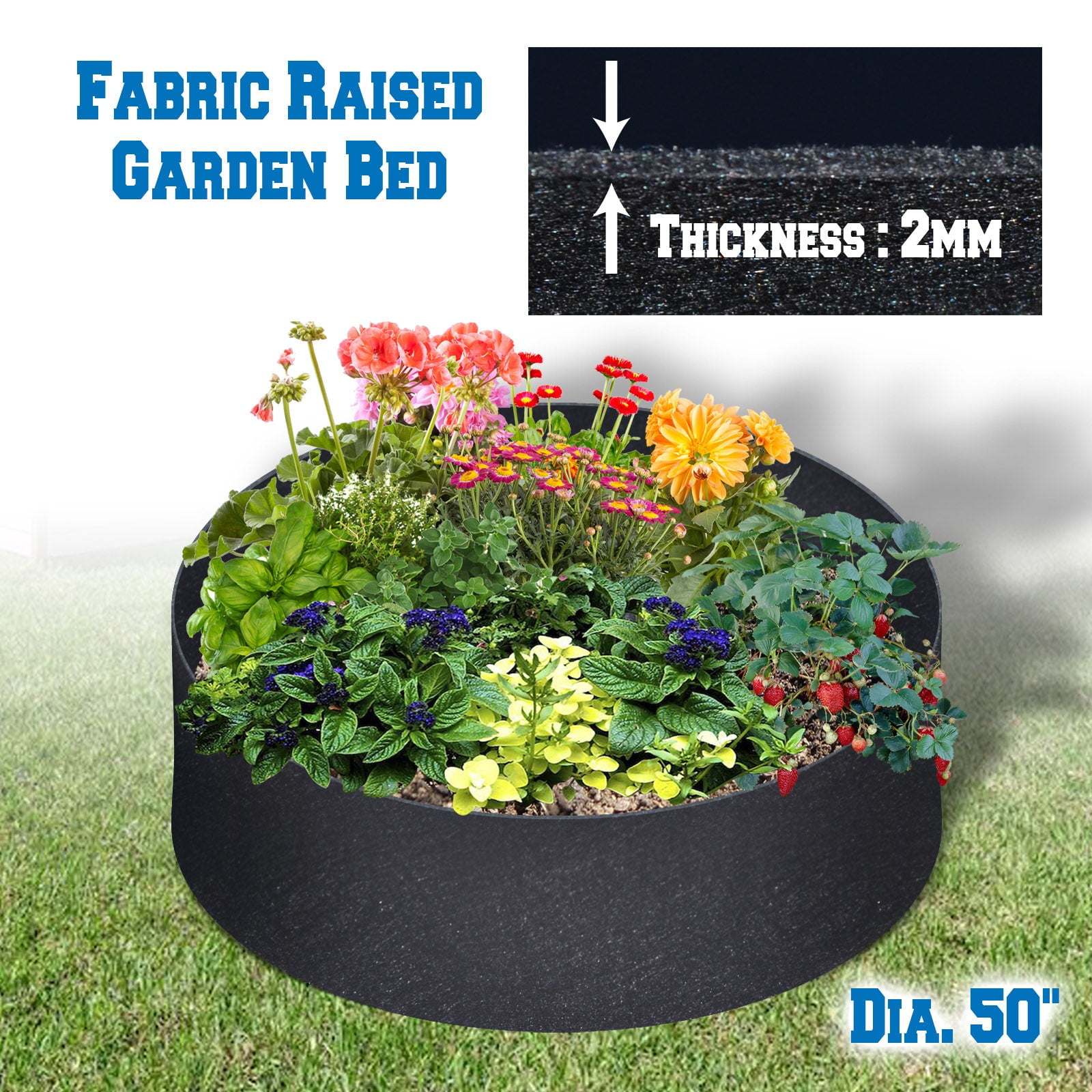 SUNRISEUMBRELLA Large Round Bag Fabric Raised Planting Bed Garden Grow Bag Pots for Herb Flower(Dia 50")
