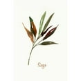 thumbnail image 3 of Jensen, Asia 11x14 Black Modern Framed Museum Art Print Titled - Wild Sage - Mini, 3 of 5