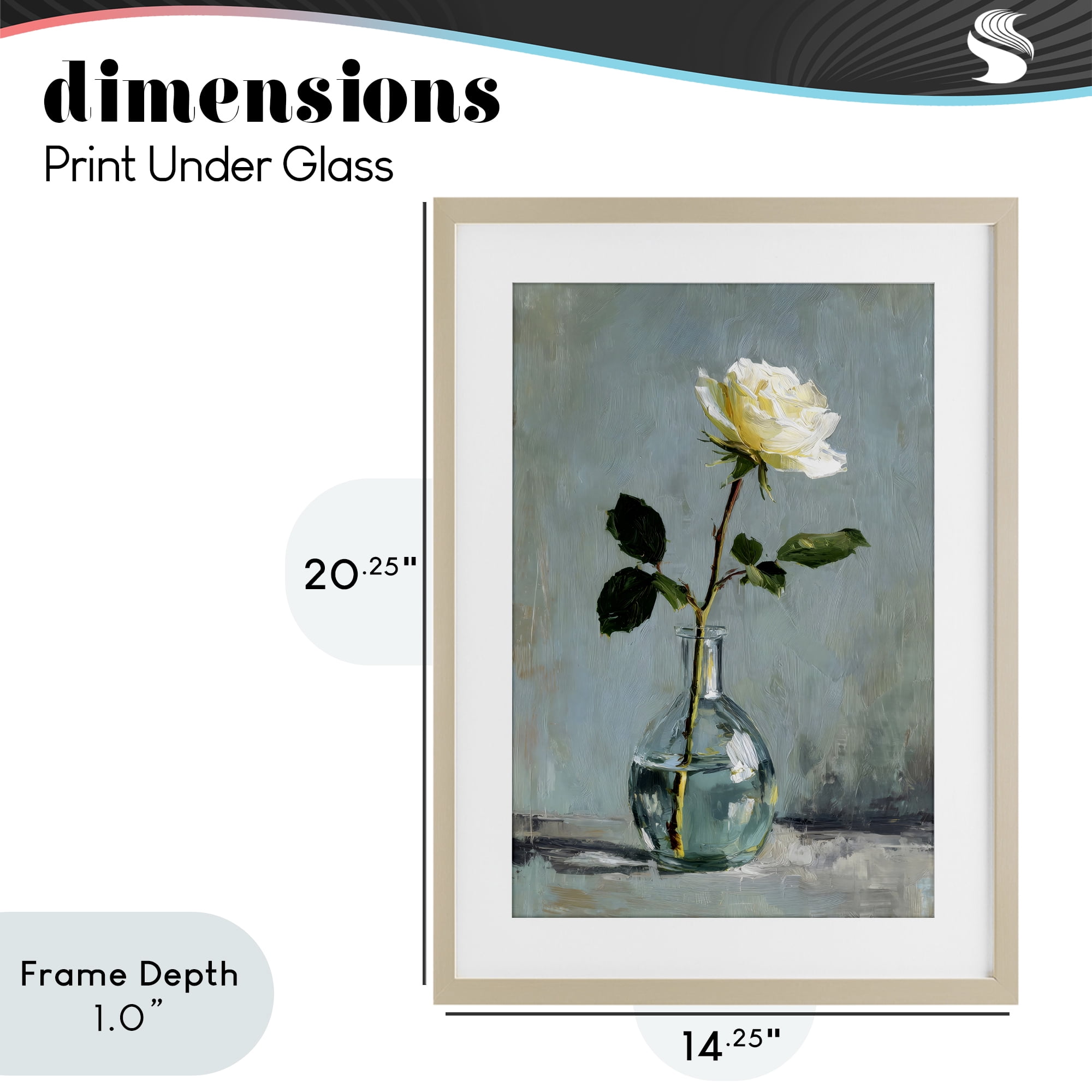 Stupell Industries Sweet White Rose in Vase Birch Framed Print Under Glass, design by Petal Prints Design