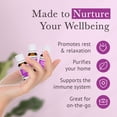 thumbnail image 4 of Pranarom - Unplug Wellness Essential Oil Kit (3-Pack of 5ml) - Digital Detox, Down Time, and Find & Focus Essential Oils - 100% Pure Essential Oil | USDA and ECOCERT Certified Organic, 4 of 4