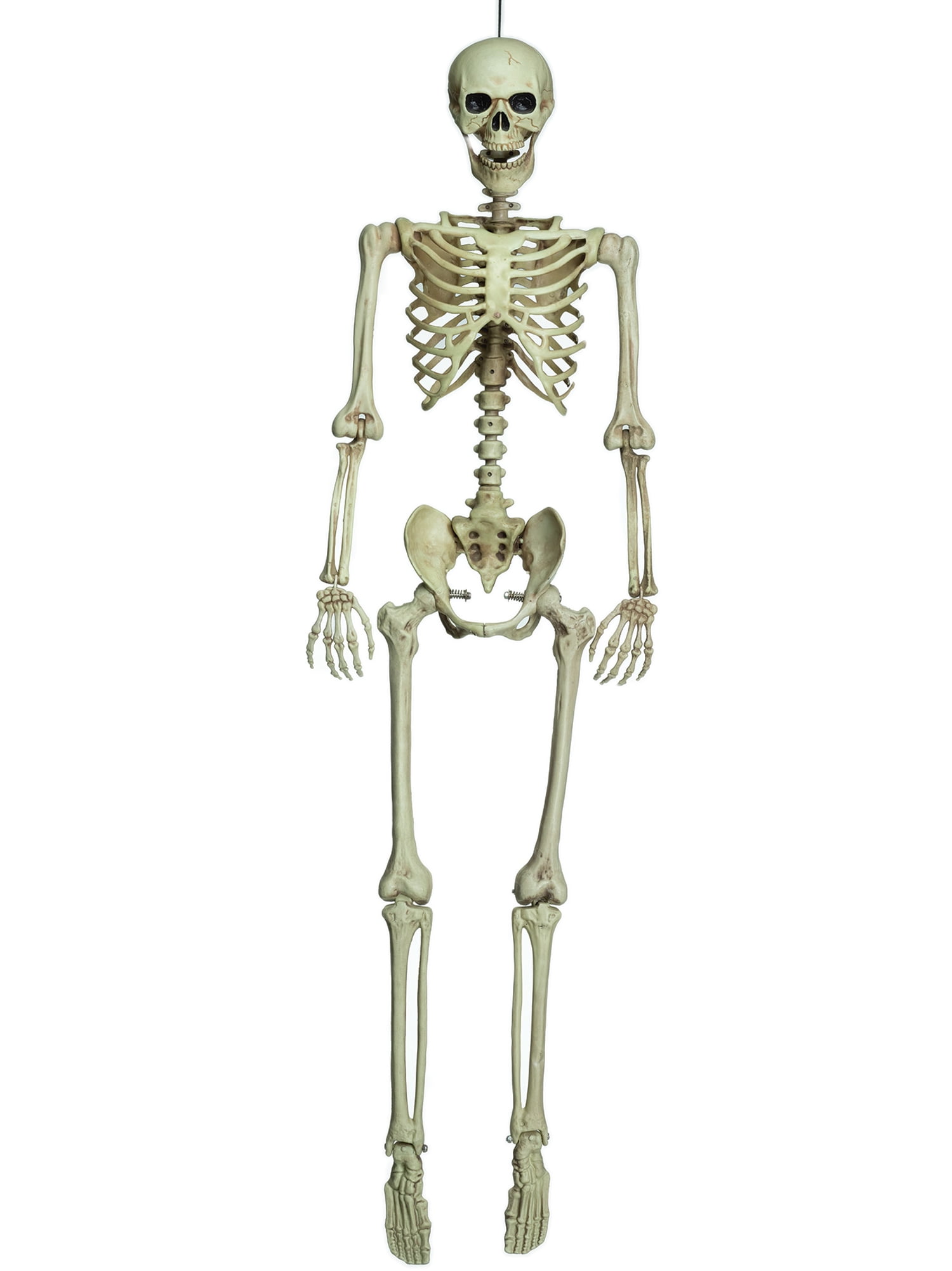 Product Works 60-Inch Pro-Line Animotion Skeleton Halloween Decoration 
