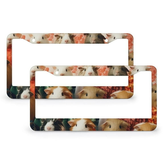 License Plate Frames Guinea Pig Licenses Plates Frames Front Licenses Plate Covers Car Tag Frame 2 Pieces Funny Farmhouse Animal Guinea Pig Piggy Aluminum Metal License Plate Frame Fits All Car