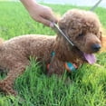 thumbnail image 4 of Ropo Dog Comb Tool For Removing Matted Fur - Pet Dematting Comb With Rounded Teeth And Non-Slip Grip Handle - Prevents Knots And Mats For Long And Short Haired Pets (Square Handle Silver), 4 of 5