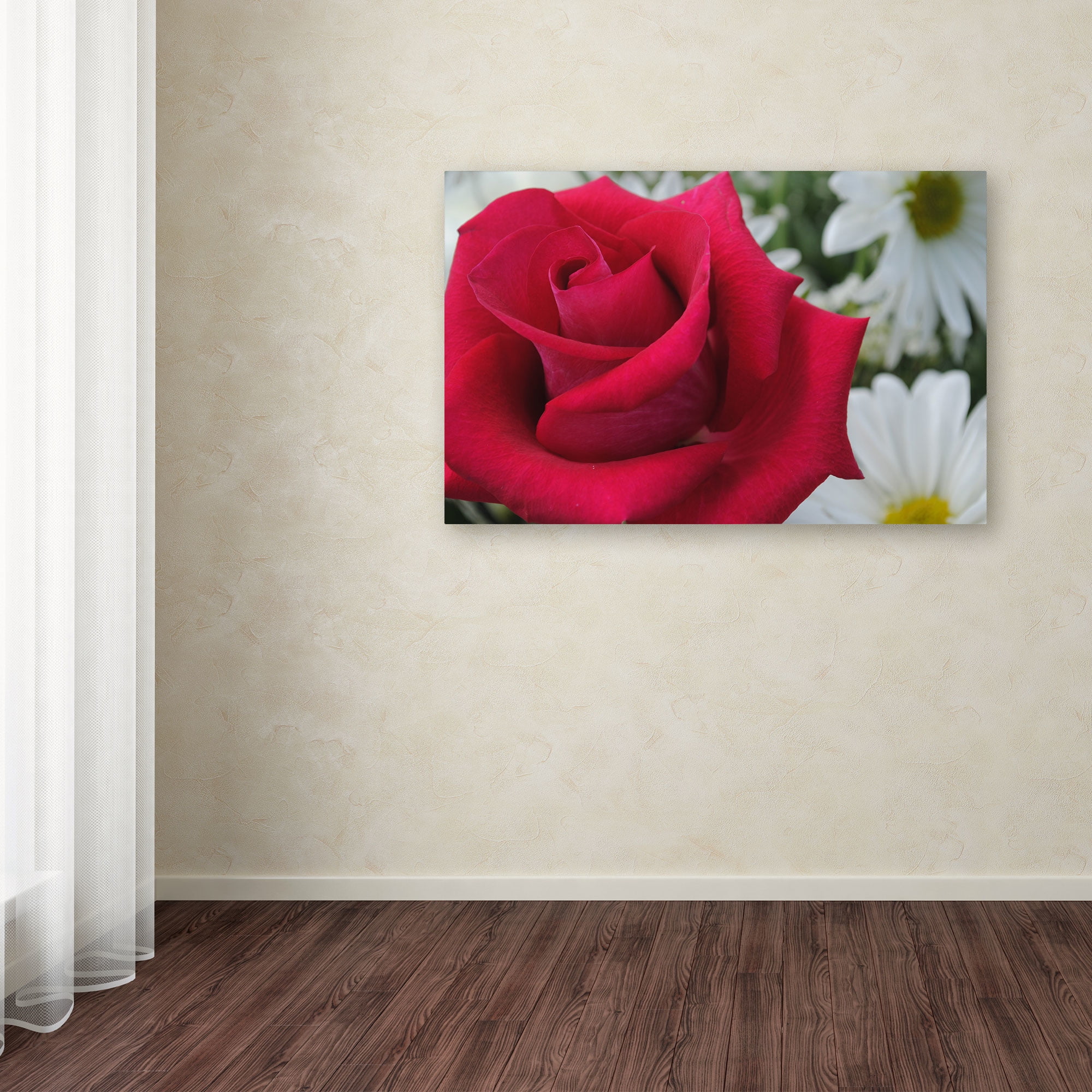 Trademark Fine Art "Pristine" Canvas Art by Monica Fleet
