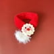 thumbnail image 4 of Perros Gatos Sombrero Capa Bufanda Serie de Navidad Patrón Vestir Agradable para la piel Mascota Cosplay Cono de Navidad Sombrero Bufanda Mantón Foto de mascota (S Rojo), 4 of 5