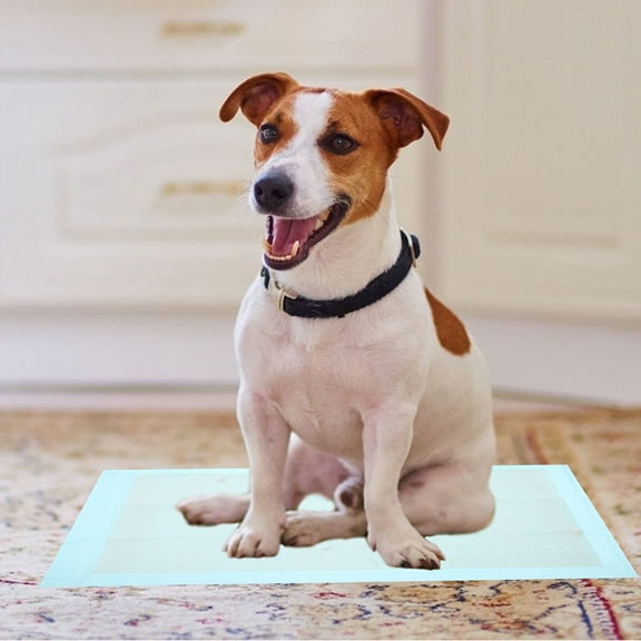 FRCOLOR 20pcs Disposable Puppy Training Pads for Small Dogs Super Absorbent Leak Proof Pee Pads for Home Potty Training