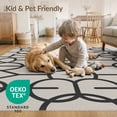 thumbnail image 4 of ODIKA 5'x7' Gray Black Geometric Charcoal Design Washable Area Rug Modern Abstract Pattern with Bold Lines for Small Living Room, Bedroom, Easy Care, Non-Shedding, Pet Friendly, 4 of 7