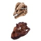 thumbnail image 1 of 2 Piezas 1/3 Resina Modelo Dilophosaurus Colección de Calaveras, 1 of 9