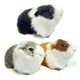 thumbnail image 1 of Figuras de hámster realistas Basuo-9Q de peluche, 3 unidades, 1 of 9