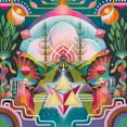 thumbnail image 1 of Nouvelle Inconnue, 1 of 1
