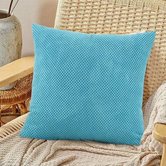 Meitianfacai Coussin de Canapé Coussin de Salon Couleur Unie Velours Coussin de Soutien Lombaire avec Housse Amovible 40x40cm pour Dossier et Décoration Accessoire de Maison Confortable (Bleu)
