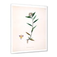 thumbnail image 2 of Designart 'Ancient Botanicals XIX' Farmhouse Framed Art Print, 2 of 4