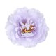 thumbnail image 3 of 6 piezas falsas cabezas de peonía para broche de horquilla decoración de bricolaje boda Gloria Flor artificial, 3 of 9