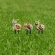thumbnail image 5 of Maceta Decorativa Macetas Accesorios De Jardín Maceta Acrílica Para Tu Hogar O Jardín Decoraciones Para Macetas, 5 of 5