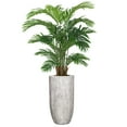 thumbnail image 1 of Artificial 68" High Artificial Faux Palm Tree With Planter, 1 of 1