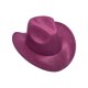 thumbnail image 2 of Minnieouse Sombrero de vaquero clásico de lana ajustable cuerda tela transpirable suave cómodo sombra Metal Ferora Color vestido gorra invierno Sombreros Vino rojo, 2 of 6