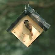 Natures Way Cedar Hanging Wren Bird House