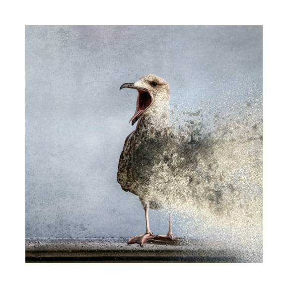 Bruno Flour 'Waterbird' Canvas Art