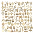 thumbnail image 1 of Surtido de 100 PCS de Aleación Mixta Sunnimix para El Fabricación de Joyas de Decoración de pulsera Encantos de la pulsera, 1 of 8