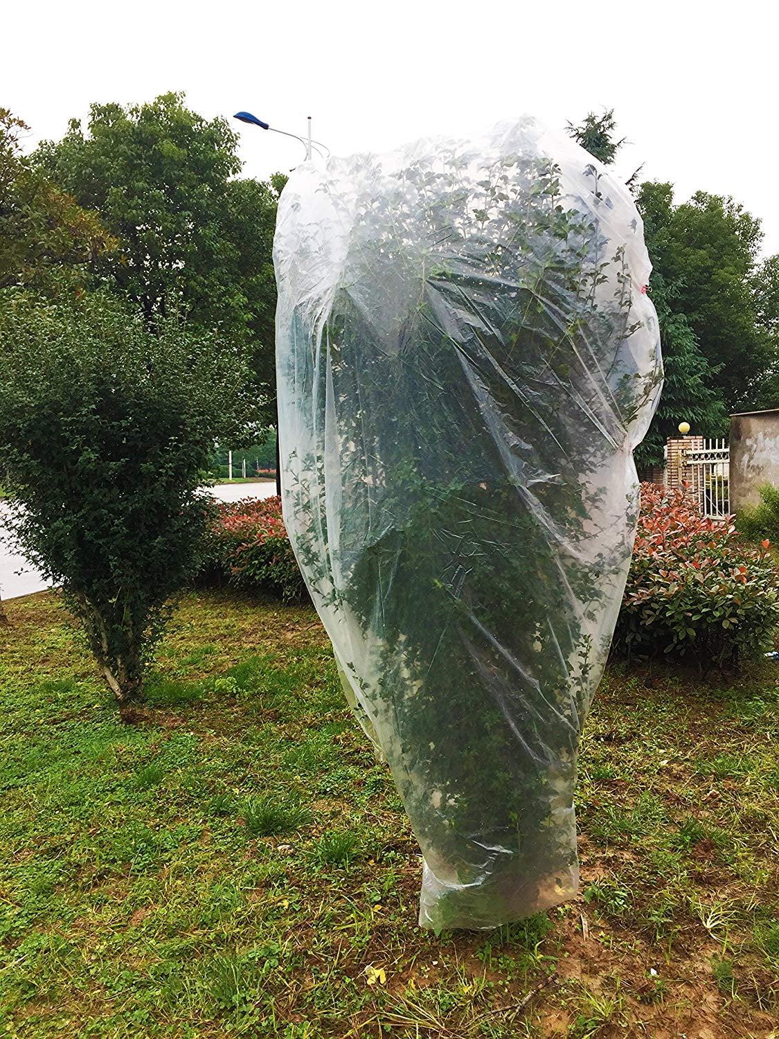 Agfabric 0.55oz Fabric Plant Cover Bags for Frost Protection/Summer Shade 84x72" 