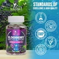 thumbnail image 5 of Elderberry Immune Support Gummies - Powerful Black Elderberry Extract Sambucus Nigra Vitamin Supplement - Natural Daily Immune Support Adults & Kids Ages 4+ Love - Delicious Berry Flavor - 60 Gummies, 5 of 10