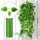 thumbnail image 5 of Plantas colgantes artificiales: hojas de hiedra falsa, plantas de cocina para pared, casa, habitación, jardín, boda, guirnalda, decoración interior y exterior, 5 of 5