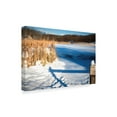 thumbnail image 2 of Trademark Fine Art 'Cattails And Post In Snow Along Pond' Canvas Art by Anthony Paladino, 2 of 3