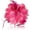Rose Red, variant on 4.72 Inches Elegant Hair Clip Large Flower Brooches for Women | Flower Mesh Feathers Headwear Hair Clips for Wedding | Ponytail Holder & Floral Pins for Clothes Have in Fashion Dress Accessories
