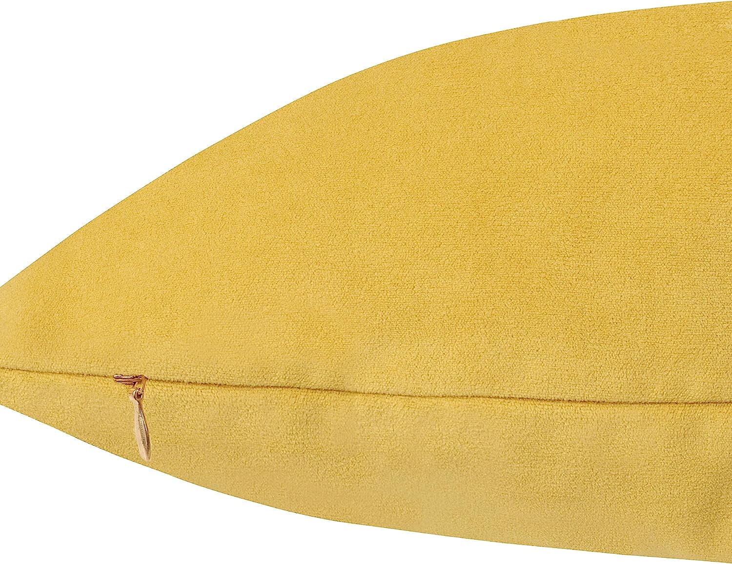 Delara Velvet Decorative Throw Pillow Cover, 20x20 inch, Pack of 1, Soft Breathable Cushion Cover with Hidden Zipper, Mustard Yellow